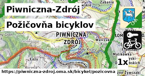 požičovňa bicyklov v Piwniczna-Zdrój