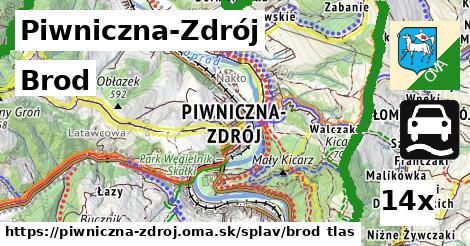 brod v Piwniczna-Zdrój