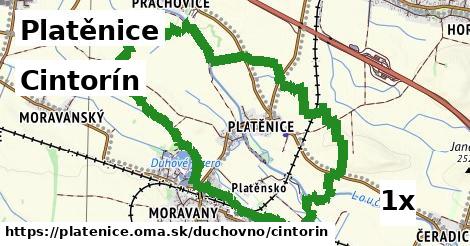 Cintorín, Platěnice