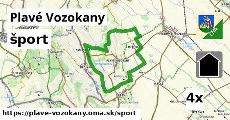 šport v Plavé Vozokany