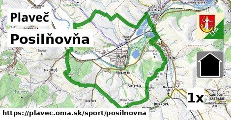 Posilňovňa, Plaveč