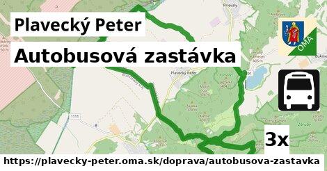 Autobusová zastávka, Plavecký Peter