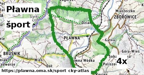 šport v Pławna