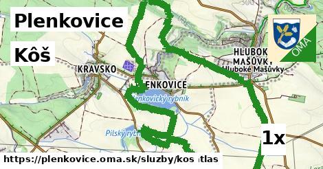 Kôš, Plenkovice