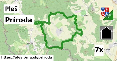 príroda v Pleš