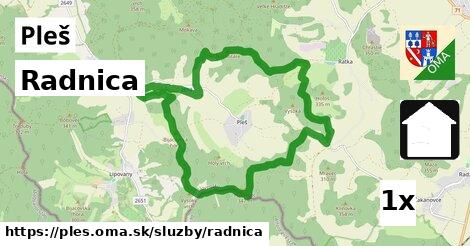 Radnica, Pleš