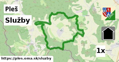 služby v Pleš