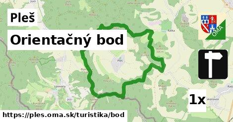 Orientačný bod, Pleš