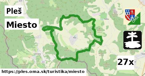 Miesto, Pleš