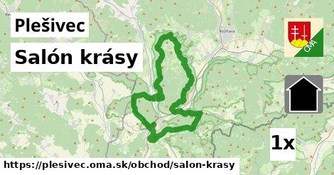 salón krásy v Plešivec