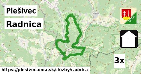 Radnica, Plešivec