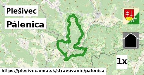 Pálenica, Plešivec