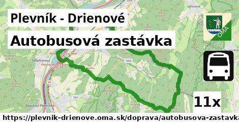 Autobusová zastávka, Plevník - Drienové