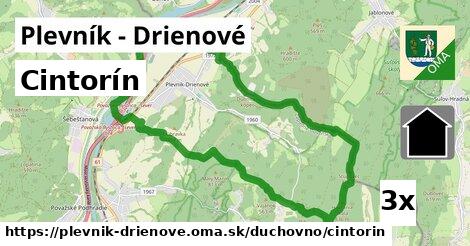 Cintorín, Plevník - Drienové