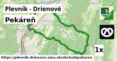 Pekáreň, Plevník - Drienové