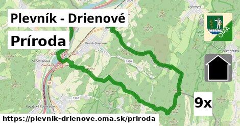 príroda v Plevník - Drienové