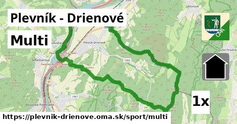 Multi, Plevník - Drienové