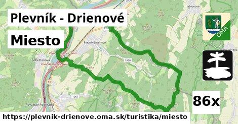 Miesto, Plevník - Drienové