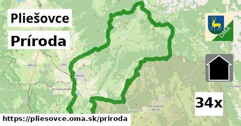 príroda v Pliešovce