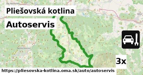 Autoservis, Pliešovská kotlina