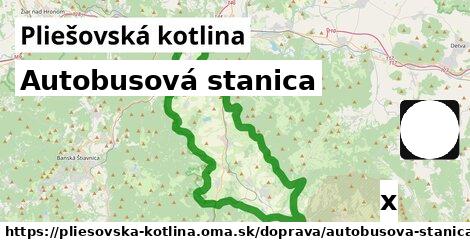 Autobusová stanica, Pliešovská kotlina