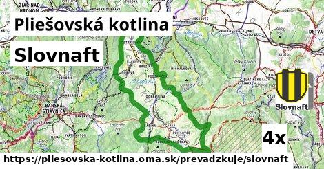 Slovnaft, Pliešovská kotlina