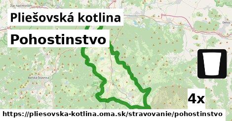 Pohostinstvo, Pliešovská kotlina