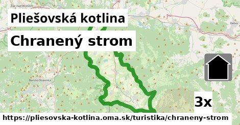 Chranený strom, Pliešovská kotlina