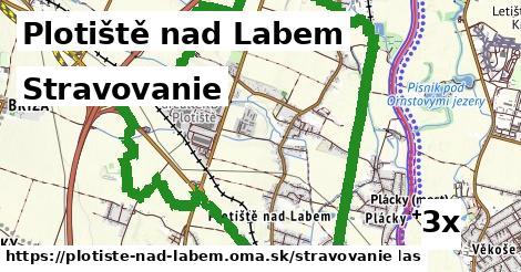 stravovanie v Plotiště nad Labem