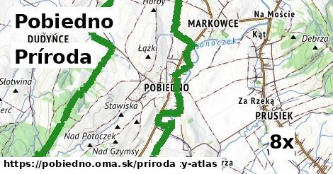 príroda v Pobiedno