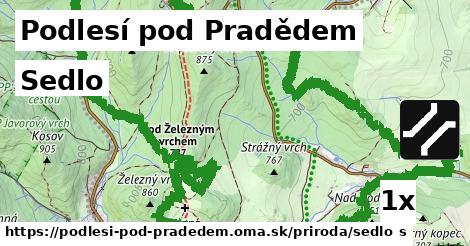 sedlo v Podlesí pod Pradědem