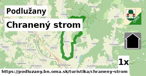 chranený strom v Podlužany, okres BN