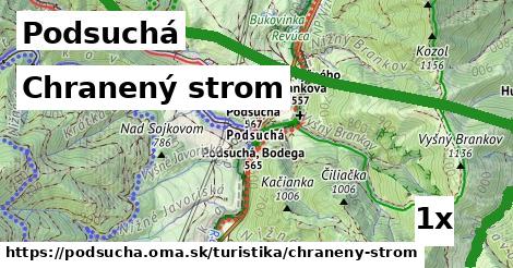 Chranený strom, Podsuchá