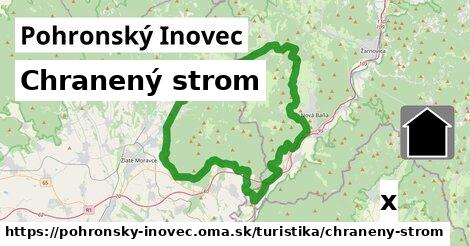 Chranený strom, Pohronský Inovec