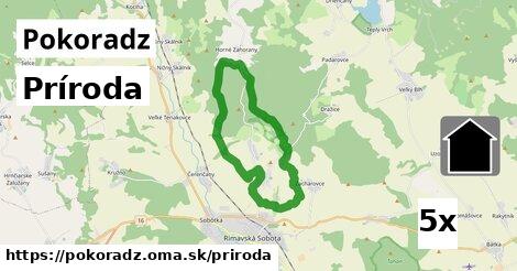 príroda v Pokoradz