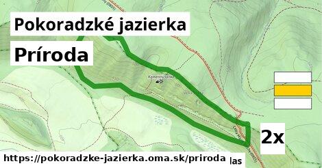 príroda v Pokoradzké jazierka