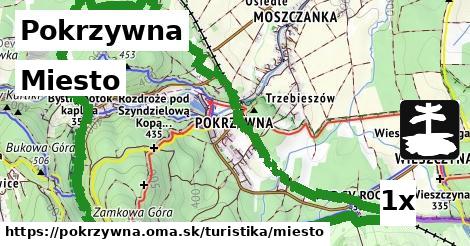 Miesto, Pokrzywna