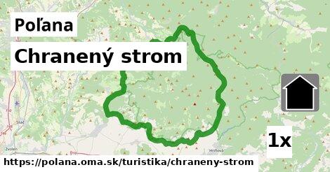 Chranený strom, Poľana