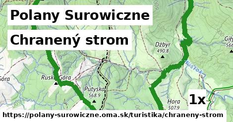 Chranený strom, Polany Surowiczne