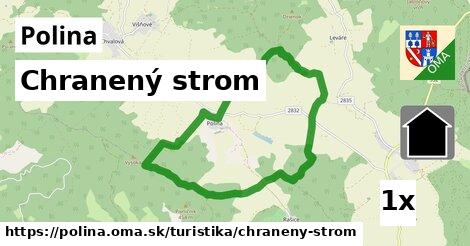 Chranený strom, Polina