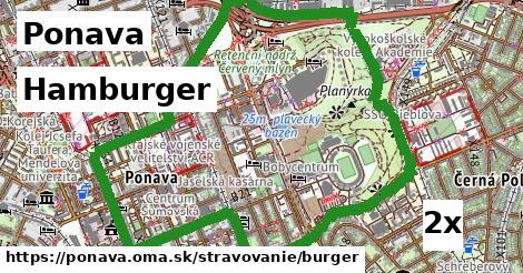 Hamburger, Ponava