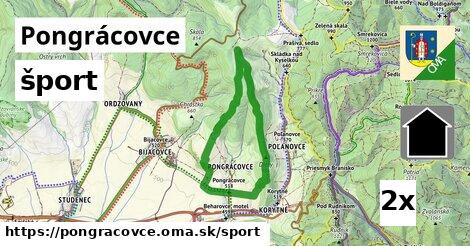 šport v Pongrácovce