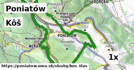 kôš v Poniatów