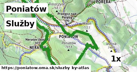 služby v Poniatów