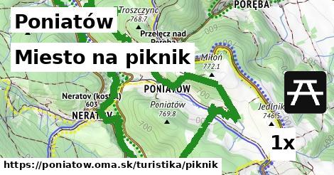 Miesto na piknik, Poniatów