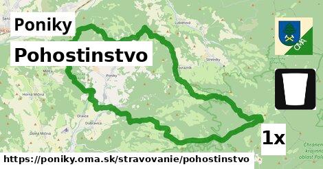 Pohostinstvo, Poniky