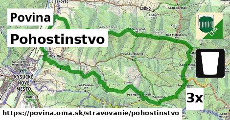Pohostinstvo, Povina