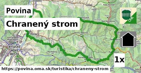 Chranený strom, Povina