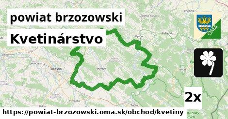 Kvetinárstvo, powiat brzozowski