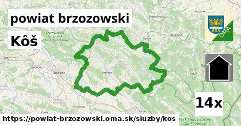 Kôš, powiat brzozowski